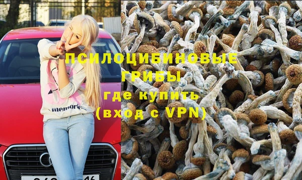Альфа ПВП Приозерск