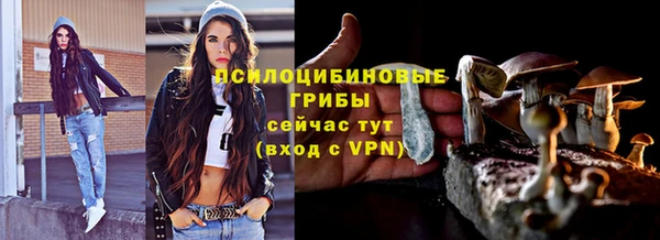 синтетический гашиш Алексин