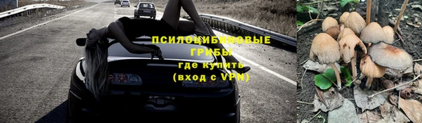 синтетический гашиш Алексин