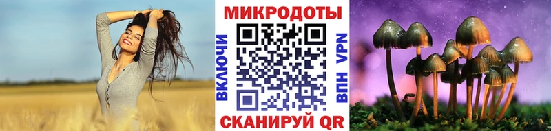 omg зеркало  Алзамай  Псилоцибиновые грибы ЛСД 